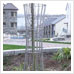 Stainless Steel Tree Guard